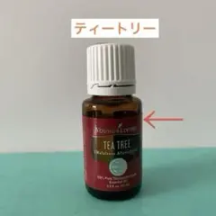 2025年最新】ヤングリヴィングの人気アイテム - メルカリ