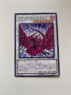遊戯王　ブラックローズドラゴン　スターダストドラゴン　レッドデーモンズドラゴン ブラックローズドラゴン スターダストドラゴン レッドデーモンズ
