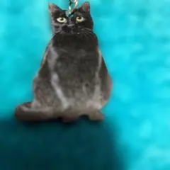新品未使用 黒猫のアクリルキーホルダーです