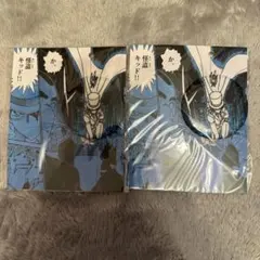 名探偵コナン　コナン探偵社　限定　布缶バッジ　怪盗キッド　2個