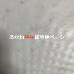 専用ページ