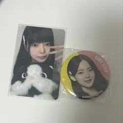 cosmosy カミオン 缶バッジ トレカ