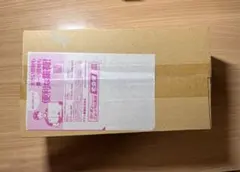 【新品未開封】ポケモンセンタートウホクスペシャルBOX