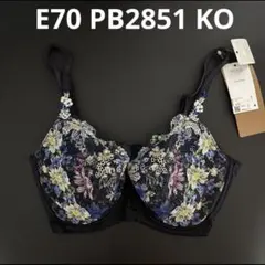 E70 PB2851 KOワコール　ウイング　レシアージュのサムネイル