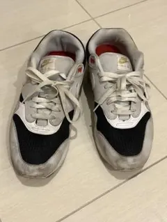 NIKE エア マックス 1 プレミアム 浦和 うなぎ