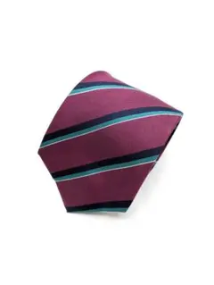 良品✨ アクアスキュータム ネクタイ シルク パープル 1304