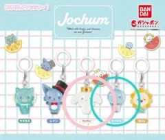 2026年最新】jochumルルの人気アイテム - メルカリ