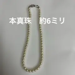 ホワイトパール ネックレス 本真珠　刻印ありEXTRA SILVER