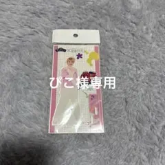 原因は自分にある。桜木雅哉 チャギントン アクスタ