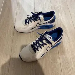 NIKE AIR MAX 白、青