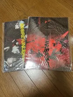 ENHYPEN DESIRE:UNLEASH アルバム 2個セット