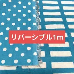 綿麻リバーシブル●ドットと短冊　ターコイズブルー系
