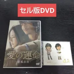 Item thumbnail for item b60d1949-3d5a-4fda-95ba-b2b1ac5e1fbb