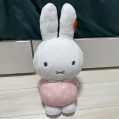 Item thumbnail for item 9588f203-3871-4ba0-9a6f-65a3e983990f