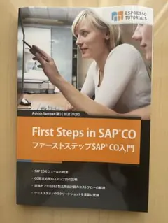 First step in SAP CO
