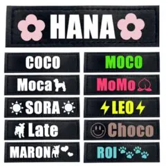 Item thumbnail for item 2471db3c-c427-4136-bef6-104cb3e96a91