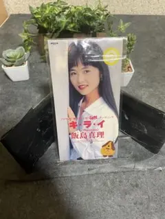 飯島真理 キライCD