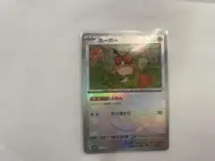 ホーホー　マスボレア