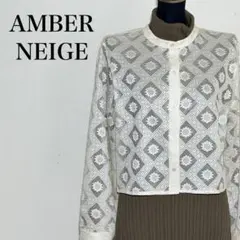 アンブルネージュ 長袖総レース シアーカーディガン 白系 Free サイズ