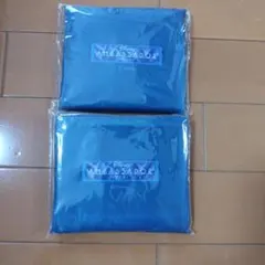 アンバサダーホテル　エコバッグ
