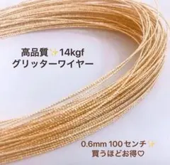 新商品　14kgf スパークルグリッターワイヤー　ハード 0.6mm　1m