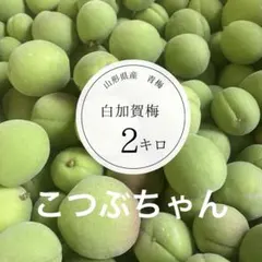 2キロ小粒ちゃん②山形県産青梅♡白加賀梅♡梅ジュース♡のサムネイル