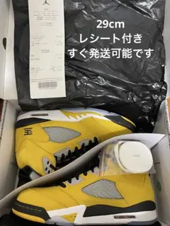 Nike Air Jordan 5 Retro 