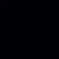 【ぷーとん様専用】11パック