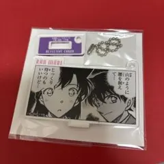 名探偵コナン　コナンランド　公式アプリアクリルキーホルダー長野シリーズ新一蘭
