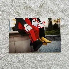 東京ディズニーリゾート　東京ディズニーランド　ポストカード　No.9