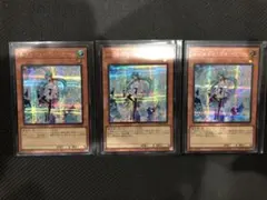 エフェクト・ヴェーラー　シク3枚