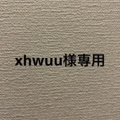 SUNSPEL Tシャツ サイズL 英国製