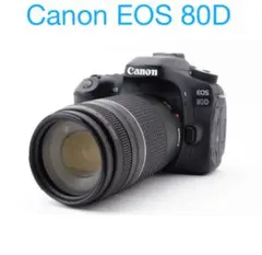 Canon EOS80D 本体+標準レンズセット 919s-BFUCAL._UF350,350_QL50_.jpg