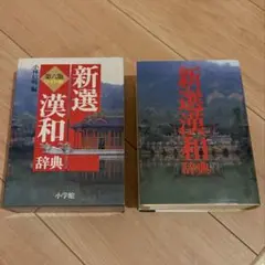 新選漢和辞典