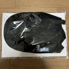 非売品 ジャーナルスタンダード JRA パンソンワークス コラボ ワークキャップのサムネイル
