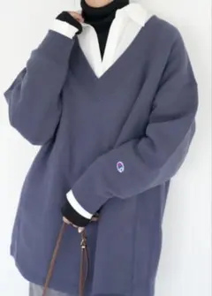 スローブイエナ チャンピオン