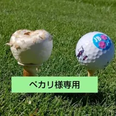 ペカリ様★ハンドメイドゴルフ ヘッドカバー