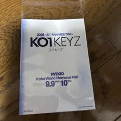 KO1KEYZ ファンミ ペンミ ポストカード　コイキーズ