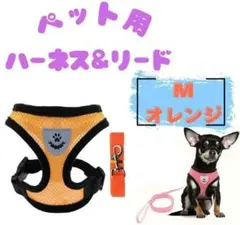 ペット用ハーネス&リード M　オレンジ　犬猫のサムネイル
