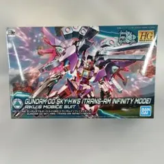 HGBD 1/144 ガンダムダブルオースカイ 2体セット - メルカリ