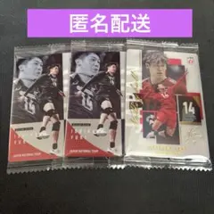 バレーボール男子日本代表 ツインウエハース 石川祐希