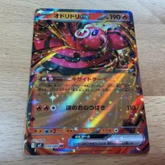 オドリドリ ex RR インフェルノX ポケカ