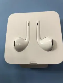 Apple EarPods with Lightning Connector