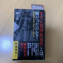 Item thumbnail for item 663b39d6-259b-40a1-a94e-96a925094556