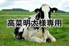 イエロー3、パープル5