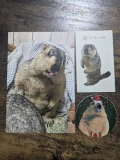 マーモット村　特典　3点セット