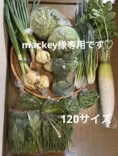 mackey様専用です♡120サイズ 4月9日ご発送です