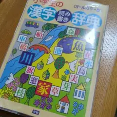 小学生の漢字 読み書き辞典 オールカラー版
