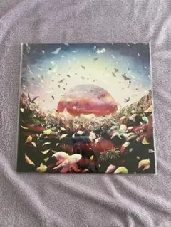 Nujabes Luv(sic) Grand Finale レコードのサムネイル