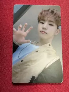 seventeen your choice ホシ　ラキドロ　セブチ